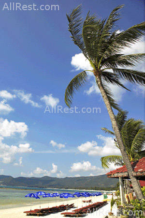 Chaweng Villa Beach Resort 4